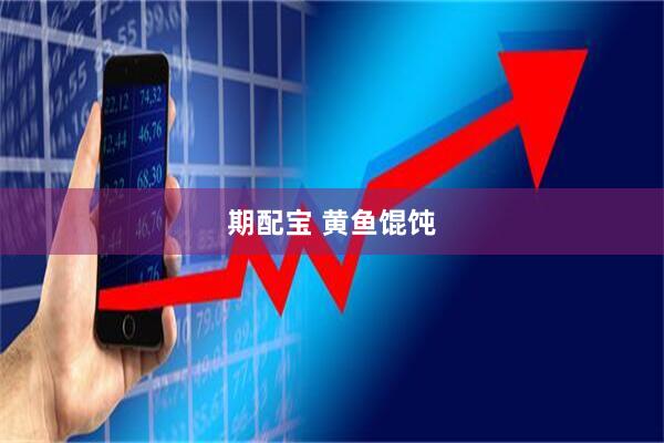 期配宝 黄鱼馄饨